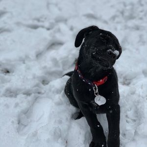 Meet your Posher, Alexandra